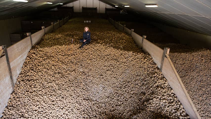 bewaarschuren-vol-met-aardappels-moeten-leeg-supermarkten-schieten-te-hulp.jpg
