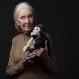 Wereldberoemde chimpansee-onderzoekster Jane Goodall (91) overleden