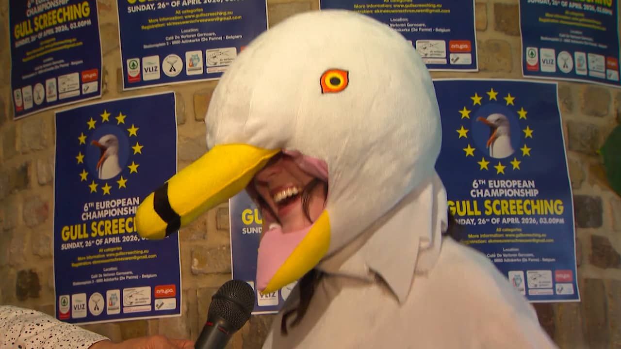 Video | Deelnemers krijsen longen uit lijf bij EK meeuwenschreeuwen in België