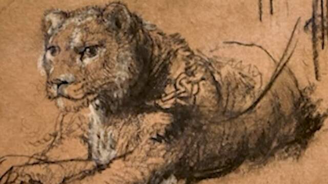 Zeldzame Rembrandt-tekening van leeuw wordt geveild