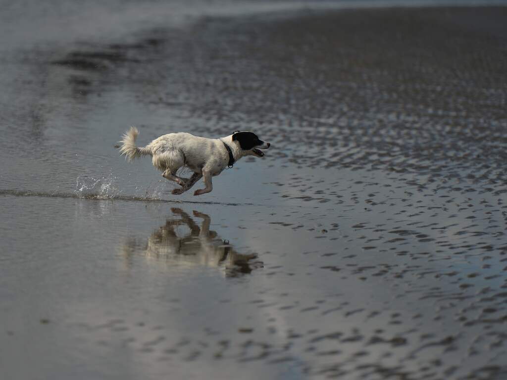 Weerbericht: Dag begint zonnig, later bewolkt en kans op regen