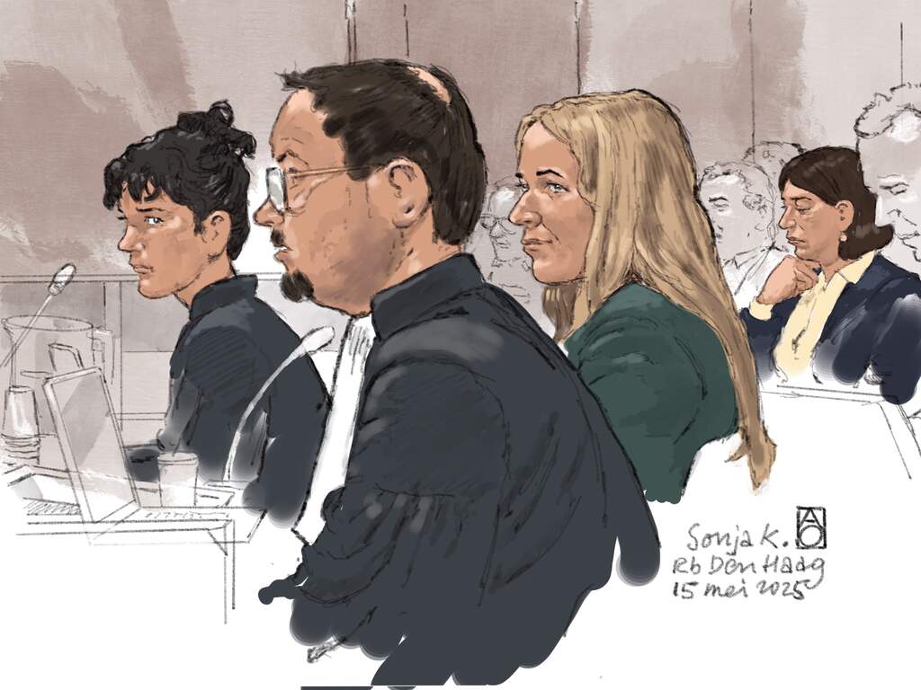 OM eist taakstraf tegen Kamerambtenaar voor lekken over onderzoek naar Arib