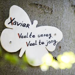 Verdachte opnieuw aangehouden in onderzoek naar dood Xavier Durlinger
