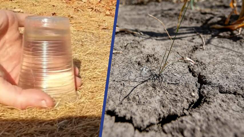 Waarom één regenbuitje nog geen oplossing is voor de droge grond