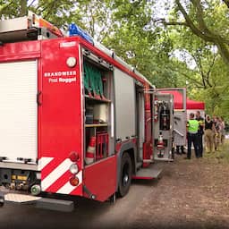 Vier doden en twee gewonden bij eenzijdig verkeersongeval in Limburg
