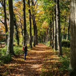 Nooit eerder bleef maximumtemperatuur zoveel dagen op rij boven 10 graden