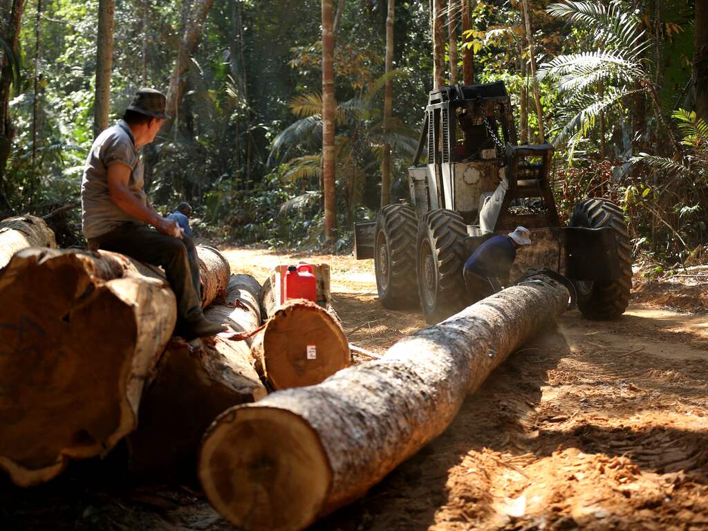 Ontbossing in de Braziliaanse deelstaat Humaita, in de Amazone.