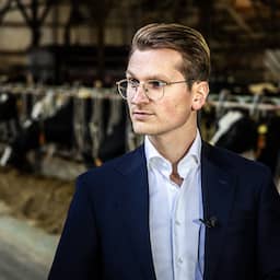 Live stikstof | Kabinet wil maximaal 2,6 koeien per hectare