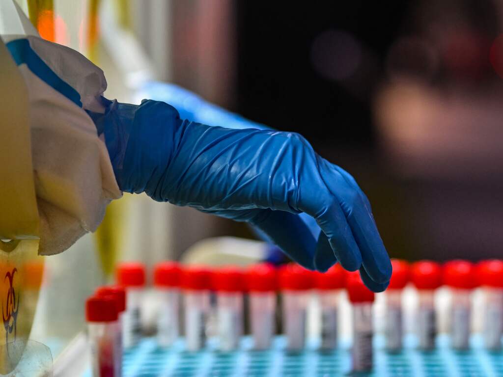 Een op de vijf Nederlanders heeft last van allergie, aantal stijgt