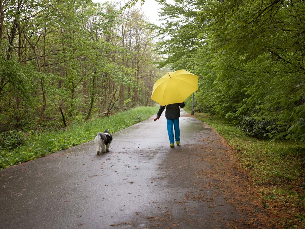 Onweersbuien en flink wat wind dit pinksterweekend, maar af en toe wat zon