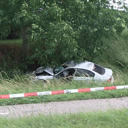 Twee kinderen en begeleider omgekomen bij aanrijding door au