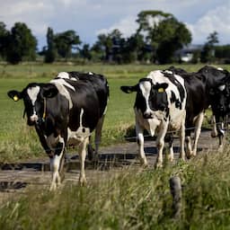 SER advises on new organization to meet nitrogen targets