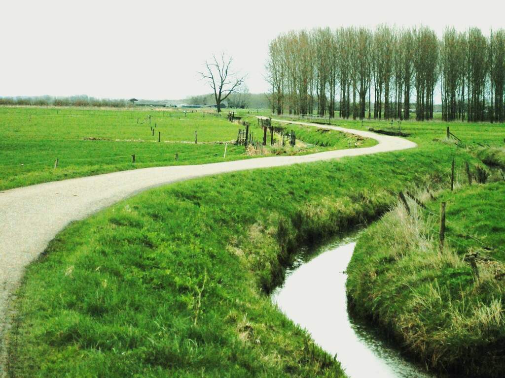 landschap Maurik landweg met sloot