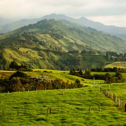 Misdrijf was doodsoorzaak van gevonden Nederlandse vrouw (41) in Colombia