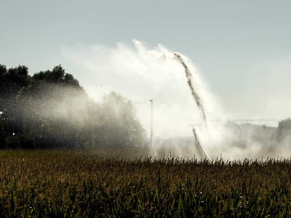 Het blijft voorlopig droog: door Rijn stroomt half zoveel water als normaal