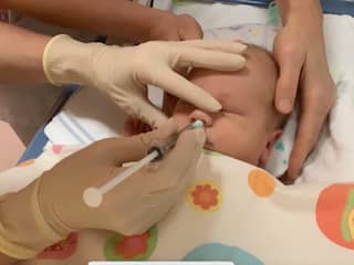 Stamcellen via neusdruppels kunnen hersenschade bij baby's repareren