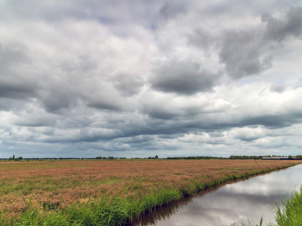 Weerbericht: Frisse dag met iets minder buien dan de afgelopen dagen
