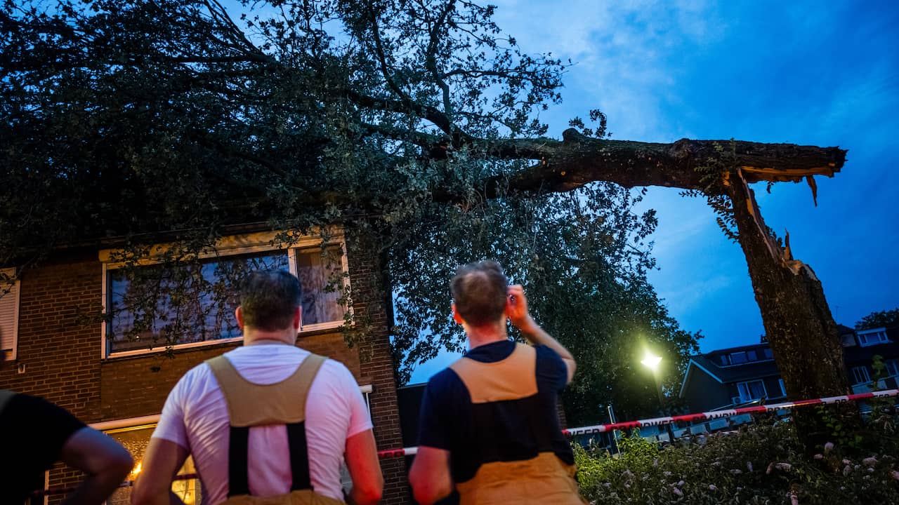 Live | Monumentale molen Veldhoven verwoest, treinverkeer nog verstoord