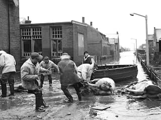 Hond die tientallen koeien redde tijdens Watersnoodramp krijgt standbeeld