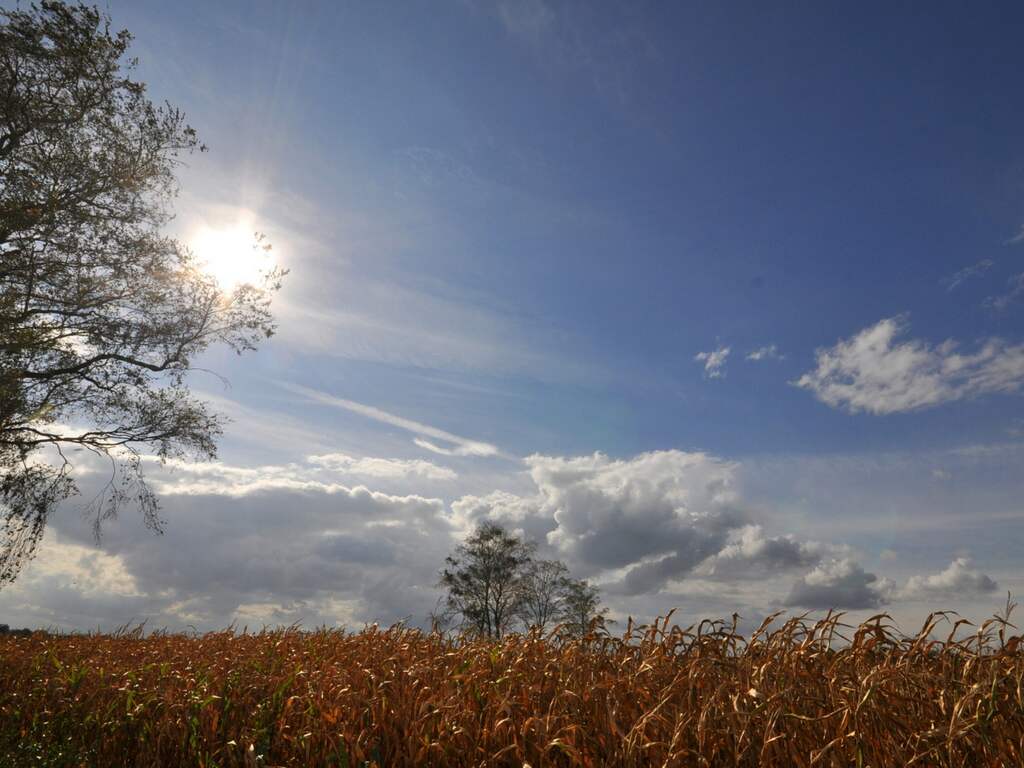 Woensdag 23 september: De zon breekt door boven dit graanveld in Zuidoost-Brabant.