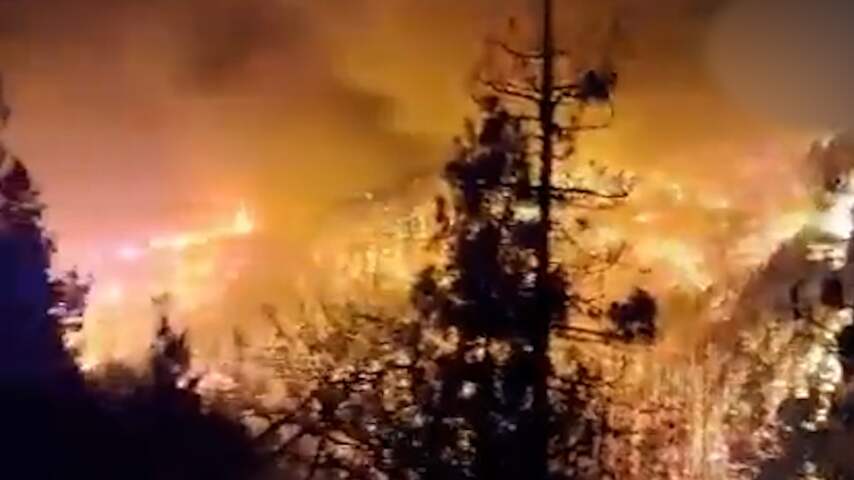 Bosbrand teistert kurkdroog Tenerife