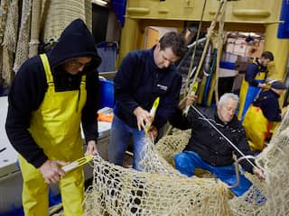 Grote aanwas jonge tong en schol, vissers mogen weer meer vangen