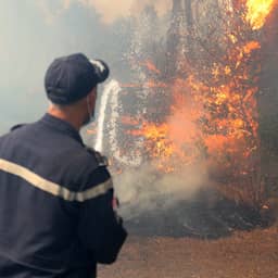 Algerije voert doodstraf in voor mensen die moedwillig bosbrand aansteken