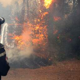 Algerije maakt doodstraf mogelijk voor mensen die moedwillig bosbrand starten