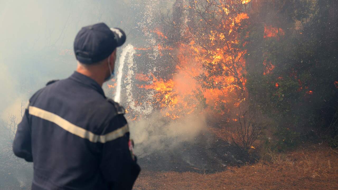 Foto bij Algerije voert doodstraf in voor mensen die moedwillig bosbrand aansteken