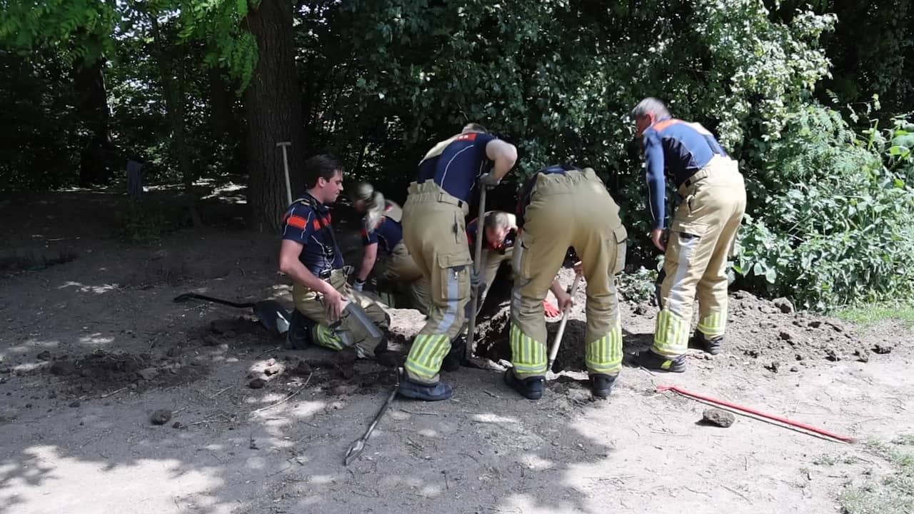 Video | Brandweer graaft een geul in Leiderdorp om hond te bevrijden