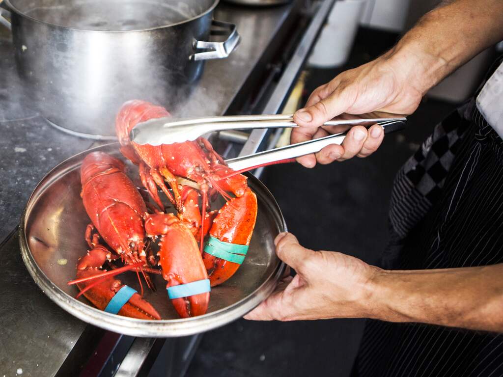 Kabinet wil een einde aan levend koken van krabben en kreeften
