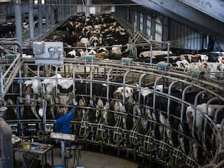 'Kan er niet wat natuur weg?' Antwoord op jullie vragen over de stikstofcrisis