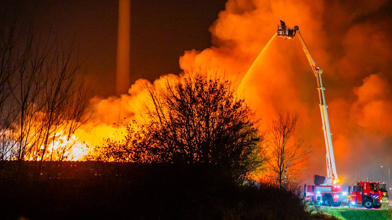 Video | Grote vuilnisbelt in de fik in Zutphen