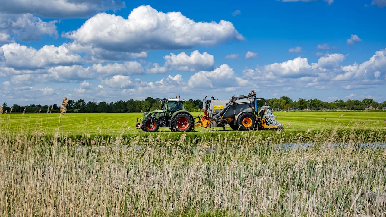 Op deze plekken in Nederland is stikstof het grootste probleem
