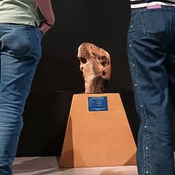 Grote meteoriet van Nederlandse sterrenwacht geveild voor dik 2 miljoen euro