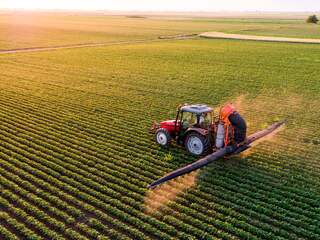 Krijgt Nederland zijn insecten terug? Heggen, oevers en dijken geven hoop