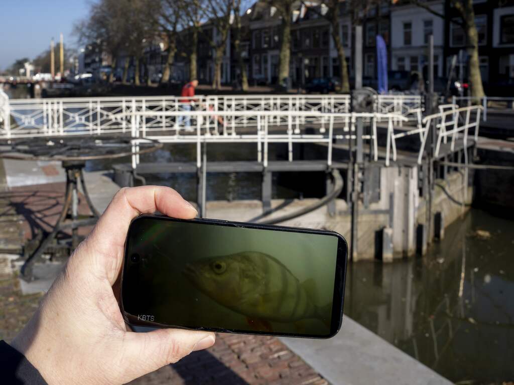 Goed nieuws deze week: Groen licht voor alzheimermedicijn in EU