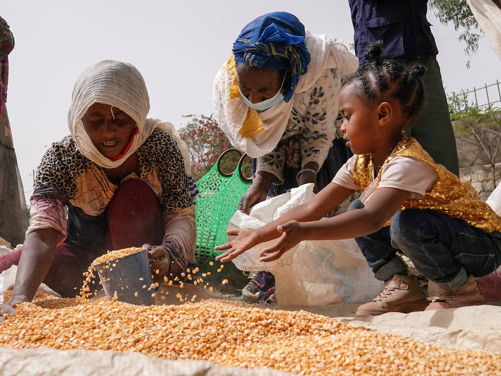 Afrikaanse Unie geeft oorlogvoerend Rusland de schuld van hongersnood