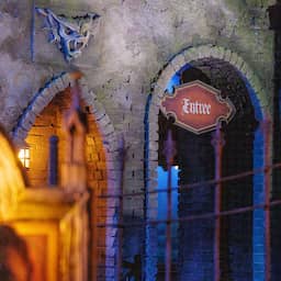Efteling-attractie Danse Macabre weer geopend na dagenlange storing
