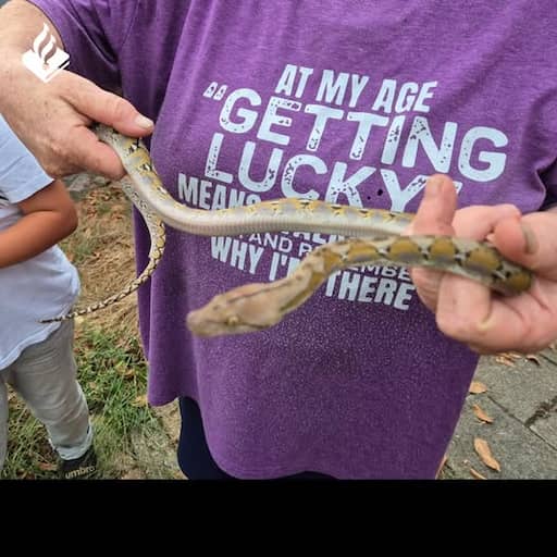 Vrouw uit Venlo vindt python in kledingkast op slaapkamer