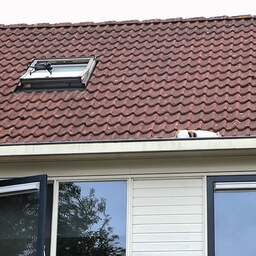Video | Drone redt kat die twee dagen vastzat op dak in Tiel