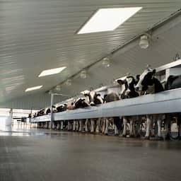 Brussels gives green light for largest dairy merger ever