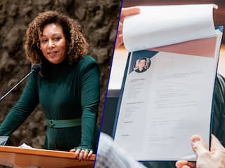 Liegen op cv kan reden zijn voor ontslag: 'Wereldreis bleek celstraf'