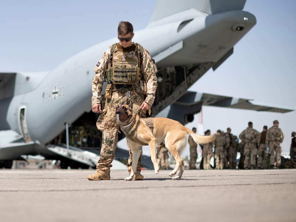 Britse regering geeft veteraan toestemming voor evacuatie dieren uit Kaboel