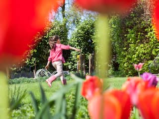 Waarom houden we verschillende dagen aan als het begin van de lente?