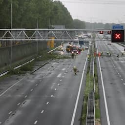 A15 dicht vanwege takken die op snelweg zijn gewaaid, code geel in 3 provincies