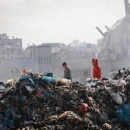 Ongedierte toenemend probleem voor vluchtelingenkampen in Gaza