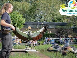 Kijk je ogen uit in het bijzondere Vogelpark Avifauna van €23,- voor €17,50
