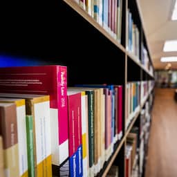 AI-boeken van Nederlands bedrijf via webshops verkocht zonder waarschuwing