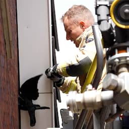 Video | Kraai zit met z'n kop vast tussen gevel en dakgoot in Emmen